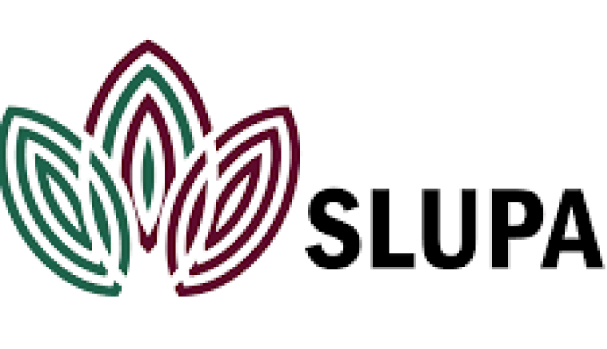 SLUPA